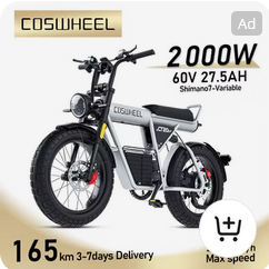 Mini Bikes