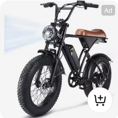 Mini Bikes
