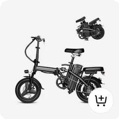Mini Bikes