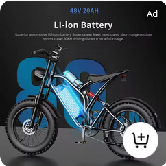 Mini Bikes