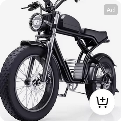Mini Bikes