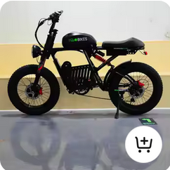 Mini Bikes